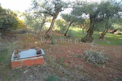 Tomt i Fundao, Castelo Branco, Fundao - € 27 500 | Ref: 255170291 - foto 8