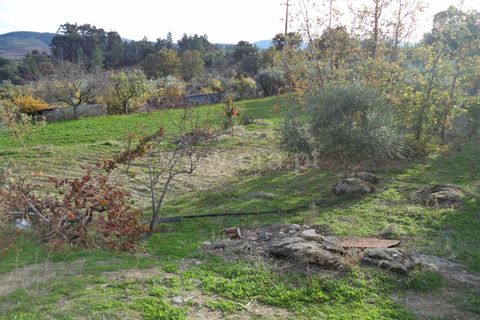 Tomt i Fundao, Castelo Branco, Fundao - € 27 500 | Ref: 255170291 - foto 9