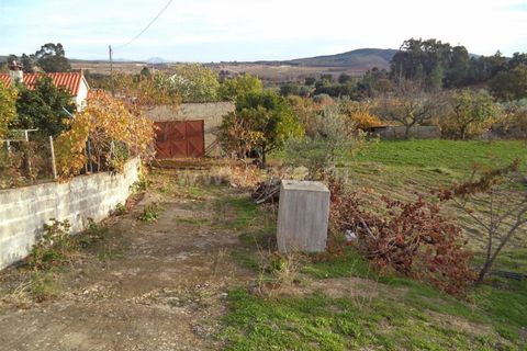 Tomt i Fundao, Castelo Branco, Fundao - € 27 500 | Ref: 255170291 - foto 10