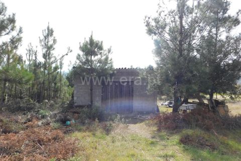 Farm i Fundao, Castelo Branco, Fundao - € 29.500 | Ref: 255180037 - foto 2