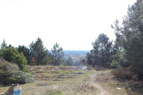 Farm i Fundao, Castelo Branco, Fundao - € 29.500 | Ref: 255180037 - foto 3
