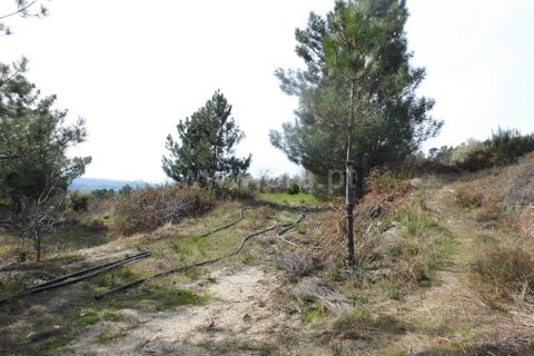 Farm i Fundao, Castelo Branco, Fundao - € 29.500 | Ref: 255180037 - foto 5