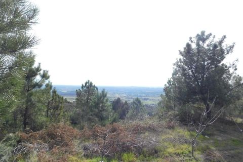 Farm i Fundao, Castelo Branco, Fundao - € 29.500 | Ref: 255180037 - foto 6