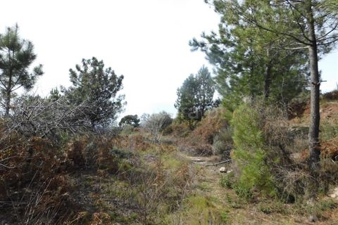 Farm i Fundao, Castelo Branco, Fundao - € 29.500 | Ref: 255180037 - foto 7