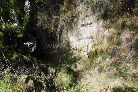 Farm i Fundao, Castelo Branco, Fundao - € 29.500 | Ref: 255180037 - foto 8