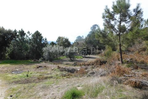 Farm i Fundao, Castelo Branco, Fundao - € 29.500 | Ref: 255180037 - foto 9