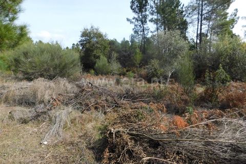 Farm i Fundao, Castelo Branco, Fundao - € 29.500 | Ref: 255180037 - foto 10