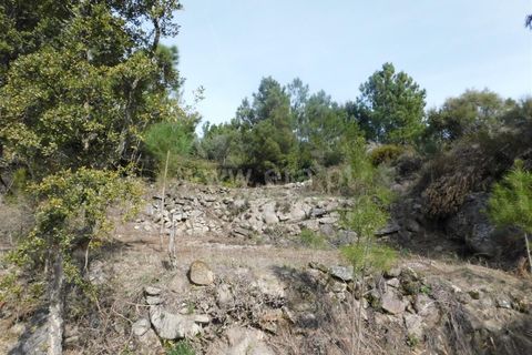 Farm i Fundao, Castelo Branco, Fundao - € 29.500 | Ref: 255180037 - foto 11