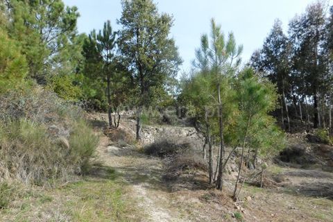 Farm i Fundao, Castelo Branco, Fundao - € 29.500 | Ref: 255180037 - foto 12