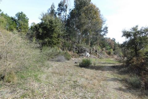 Farm i Fundao, Castelo Branco, Fundao - € 29.500 | Ref: 255180037 - foto 13