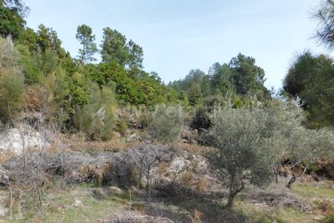 Farm i Fundao, Castelo Branco, Fundao - € 29.500 | Ref: 255180037 - foto 14