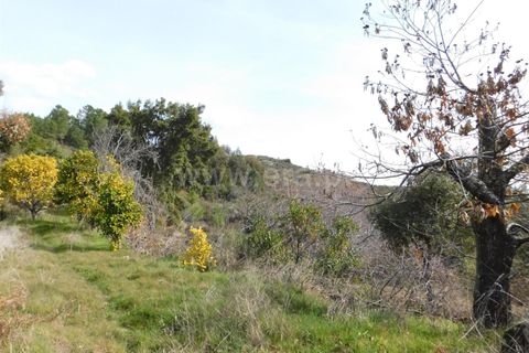 Farm i Fundao, Castelo Branco, Fundao - € 29.500 | Ref: 255180037 - foto 15