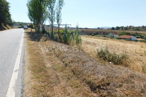 Helårsgrund i Fundao, Castelo Branco, Fundao - € 60.000 | Ref: 255190181 - foto 5