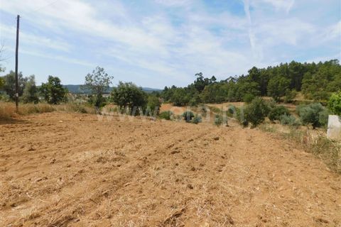 Tomt i Fundao, Castelo Branco, Fundao - € 32 500 | Ref: 255190186 - foto 2