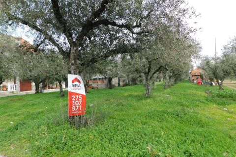 Tomt i Fundao, Castelo Branco, Fundao - € 25 000 | Ref: 255200012 - foto 2