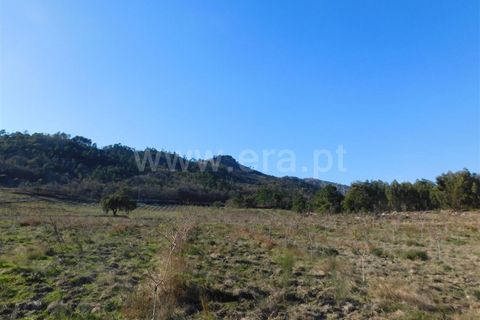 Helårsgrund i Fundao, Castelo Branco, Fundao - € 270.000 | Ref: 255190022 - foto 2