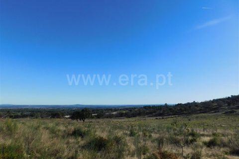 Helårsgrund i Fundao, Castelo Branco, Fundao - € 270.000 | Ref: 255190022 - foto 3