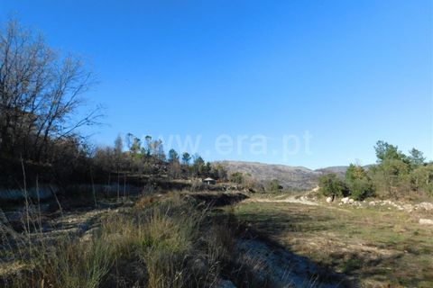 Helårsgrund i Fundao, Castelo Branco, Fundao - € 270.000 | Ref: 255190022 - foto 9
