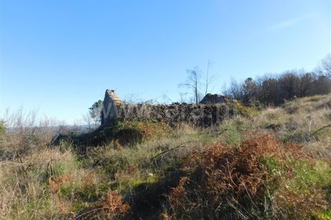 Helårsgrund i Fundao, Castelo Branco, Fundao - € 270.000 | Ref: 255190022 - foto 11