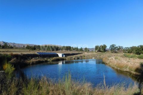 Helårsgrund i Fundao, Castelo Branco, Fundao - € 270.000 | Ref: 255190022 - foto 16