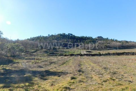 Helårsgrund i Fundao, Castelo Branco, Fundao - € 270.000 | Ref: 255190022 - foto 18