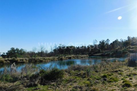 Helårsgrund i Fundao, Castelo Branco, Fundao - € 270.000 | Ref: 255190022 - foto 19