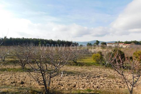 Farm i Fundao, Castelo Branco, Fundao - € 260.000 | Ref: 255190030 - foto 3