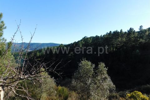 Helårsgrund i Covilha, Castelo Branco, Covilha - € 7.500 | Ref: 255230004 - foto 2