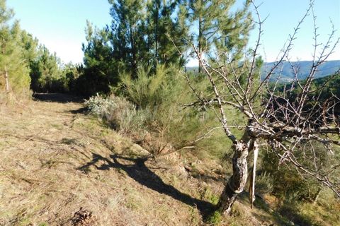 Helårsgrund i Covilha, Castelo Branco, Covilha - € 7.500 | Ref: 255230004 - foto 3