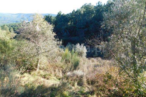 Helårsgrund i Covilha, Castelo Branco, Covilha - € 7.500 | Ref: 255230004 - foto 4