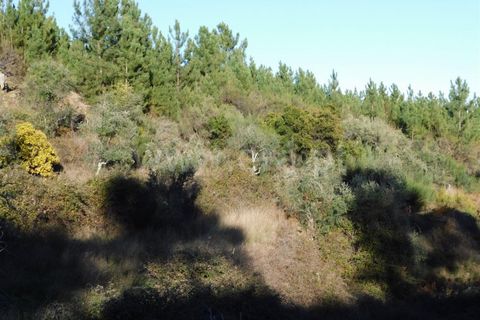 Helårsgrund i Covilha, Castelo Branco, Covilha - € 7.500 | Ref: 255230004 - foto 5
