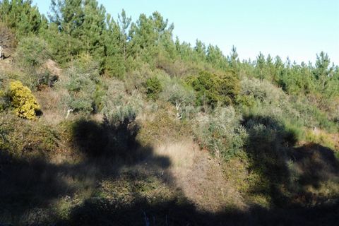 Helårsgrund i Covilha, Castelo Branco, Covilha - € 7.500 | Ref: 255230004 - foto 6