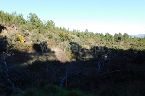 Helårsgrund i Covilha, Castelo Branco, Covilha - € 7.500 | Ref: 255230004 - foto 8
