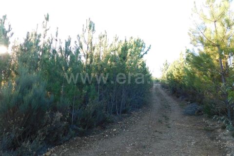Helårsgrund i Covilha, Castelo Branco, Covilha - € 7.500 | Ref: 255230004 - foto 9