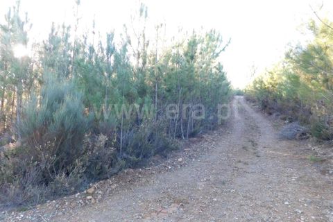 Helårsgrund i Covilha, Castelo Branco, Covilha - € 7.500 | Ref: 255230004 - foto 10