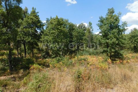 Helårsgrund i Fundao, Castelo Branco, Fundao - € 16.000 | Ref: 255190225 - foto 2
