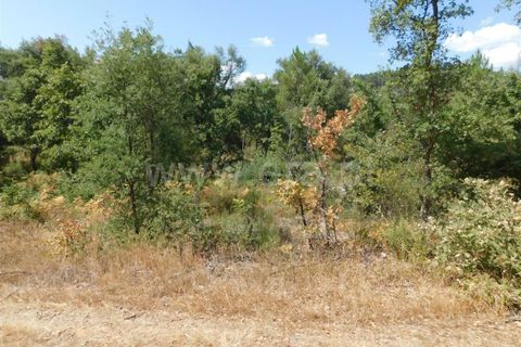 Helårsgrund i Fundao, Castelo Branco, Fundao - € 16.000 | Ref: 255190225 - foto 3