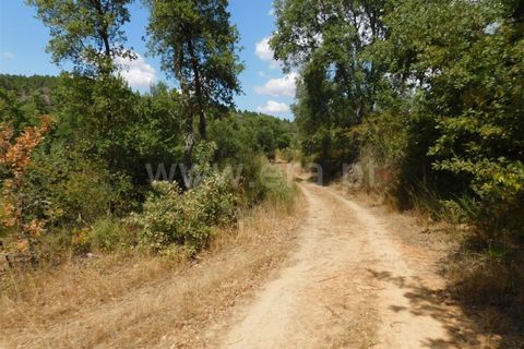 Helårsgrund i Fundao, Castelo Branco, Fundao - € 16.000 | Ref: 255190225 - foto 4