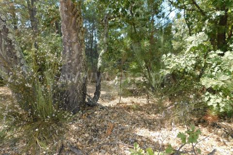 Helårsgrund i Fundao, Castelo Branco, Fundao - € 16.000 | Ref: 255190225 - foto 5