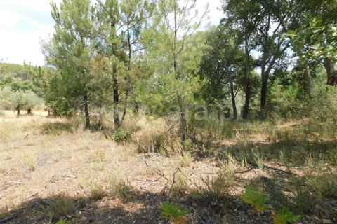Helårsgrund i Fundao, Castelo Branco, Fundao - € 16.000 | Ref: 255190225 - foto 6