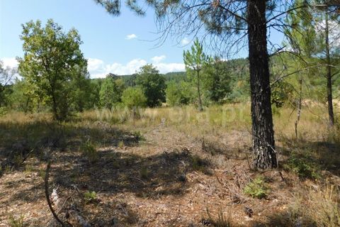 Helårsgrund i Fundao, Castelo Branco, Fundao - € 16.000 | Ref: 255190225 - foto 7