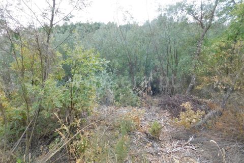 Helårsgrund i Fundao, Castelo Branco, Fundao - € 16.000 | Ref: 255190225 - foto 8