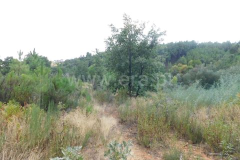 Helårsgrund i Fundao, Castelo Branco, Fundao - € 16.000 | Ref: 255190225 - foto 9