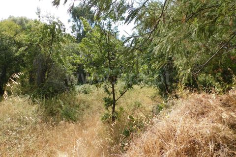 Helårsgrund i Fundao, Castelo Branco, Fundao - € 16.000 | Ref: 255190225 - foto 11