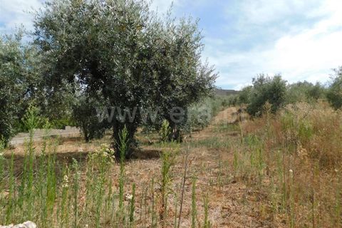 Helårsgrund i Fundao, Castelo Branco, Fundao - € 17.500 | Ref: 255190222 - foto 2