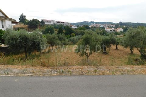 Helårsgrund i Fundao, Castelo Branco, Fundao - € 17.500 | Ref: 255190222 - foto 3
