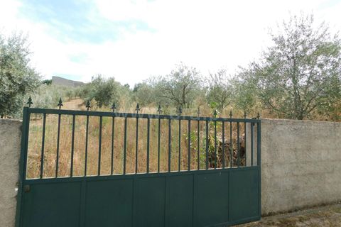 Helårsgrund i Fundao, Castelo Branco, Fundao - € 12.500 | Ref: 255190224 - foto 2