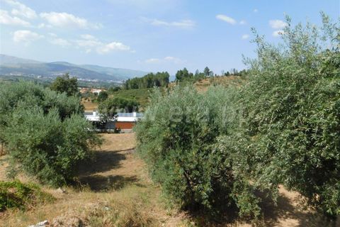 Helårsgrund i Fundao, Castelo Branco, Fundao - € 49.000 | Ref: 255200164 - foto 2