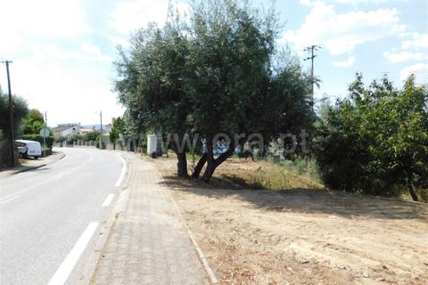 Helårsgrund i Fundao, Castelo Branco, Fundao - € 49.000 | Ref: 255200164 - foto 3