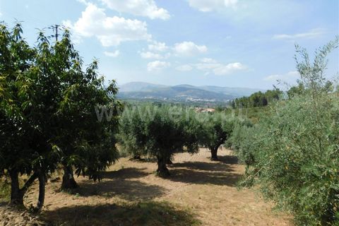 Helårsgrund i Fundao, Castelo Branco, Fundao - € 49.000 | Ref: 255200164 - foto 4